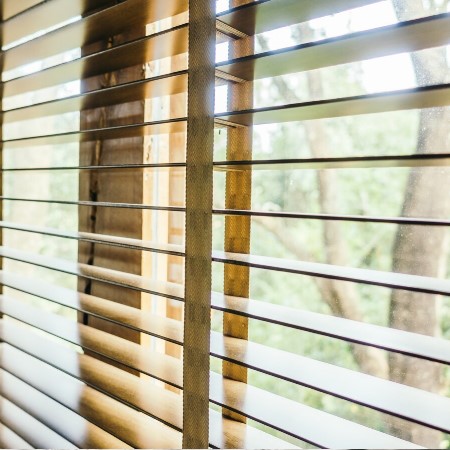 Venetian Blinds